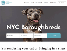 Tablet Screenshot of nycacc.org